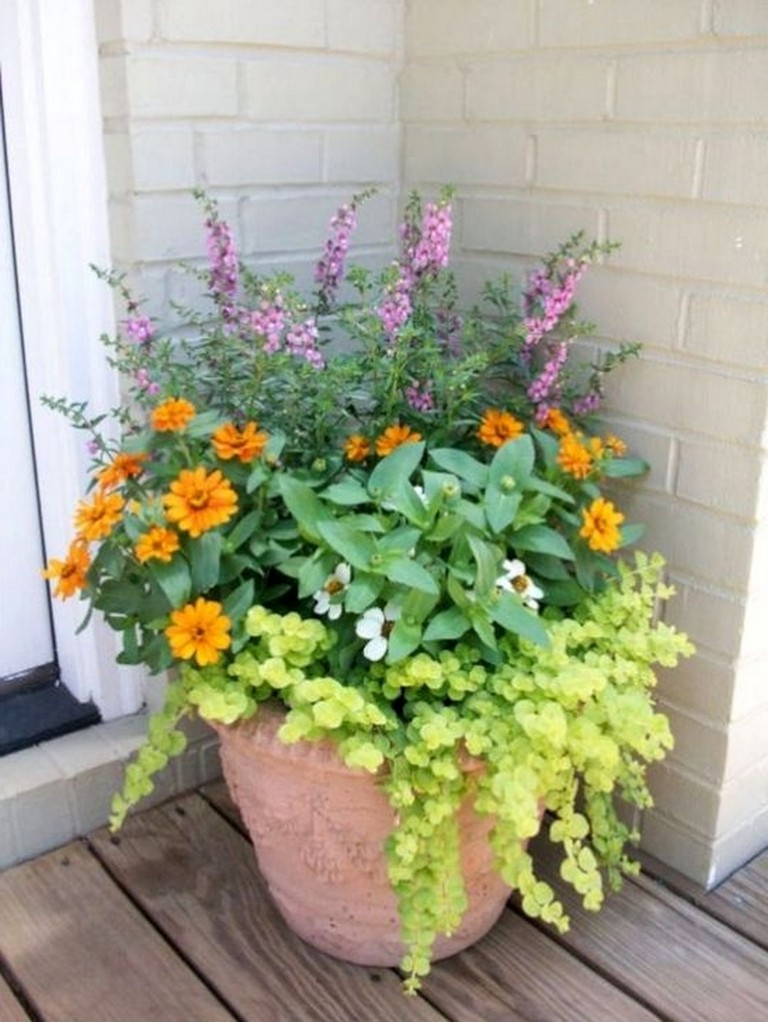 44+ Wonderful Summer Container Garden Flower Ideas - Page ...